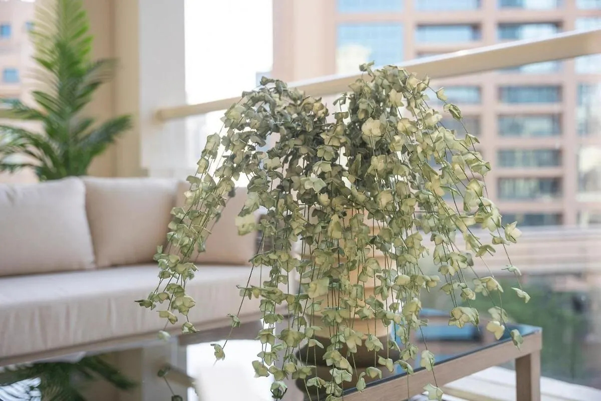 3-Bed Apartment Sleeps 7 In Palm Jumeirah Ντουμπάι